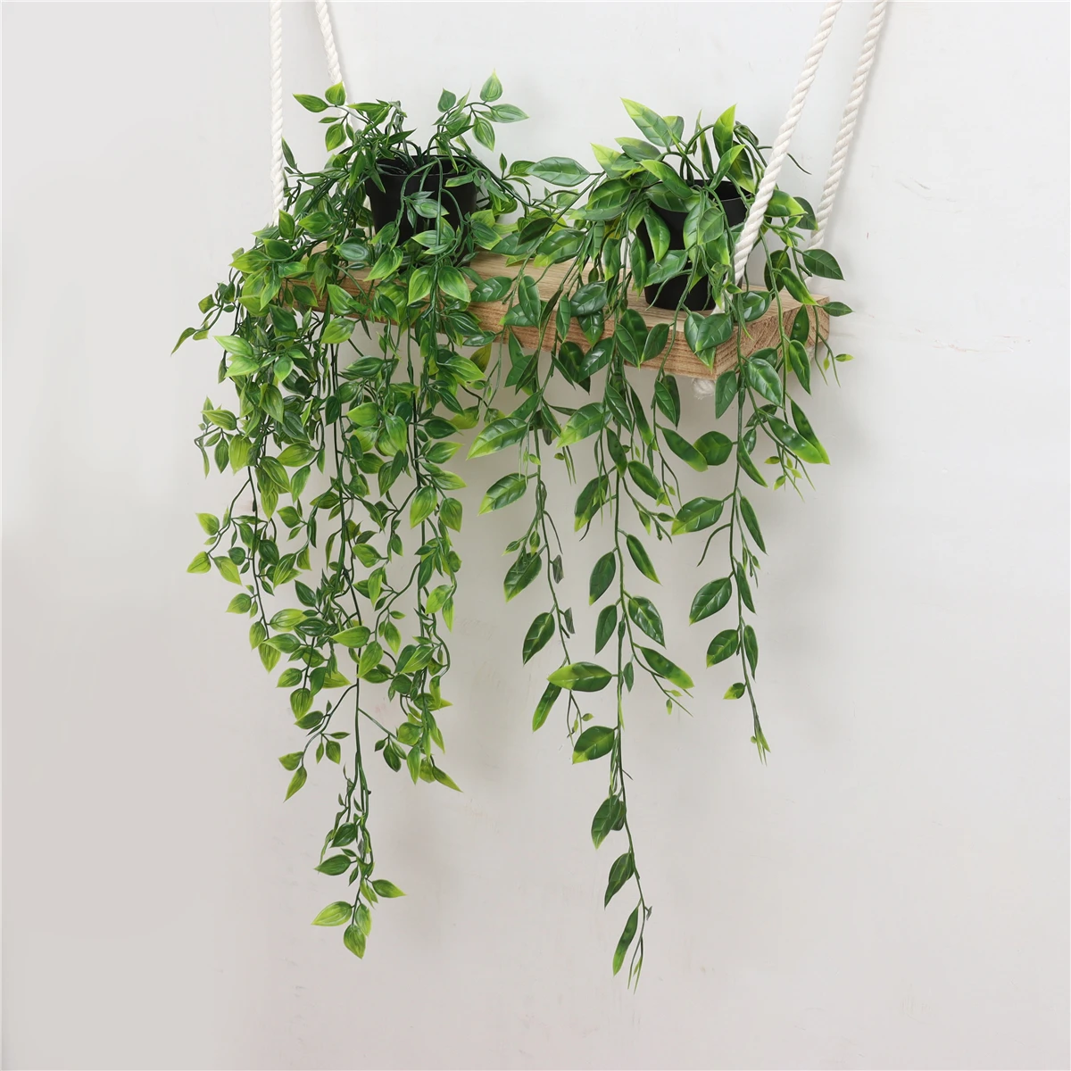 Моделирование эвкалипта Виноградная лоза листья мандалы гороха Висячие зеленые растения матовое декоративное бонсай