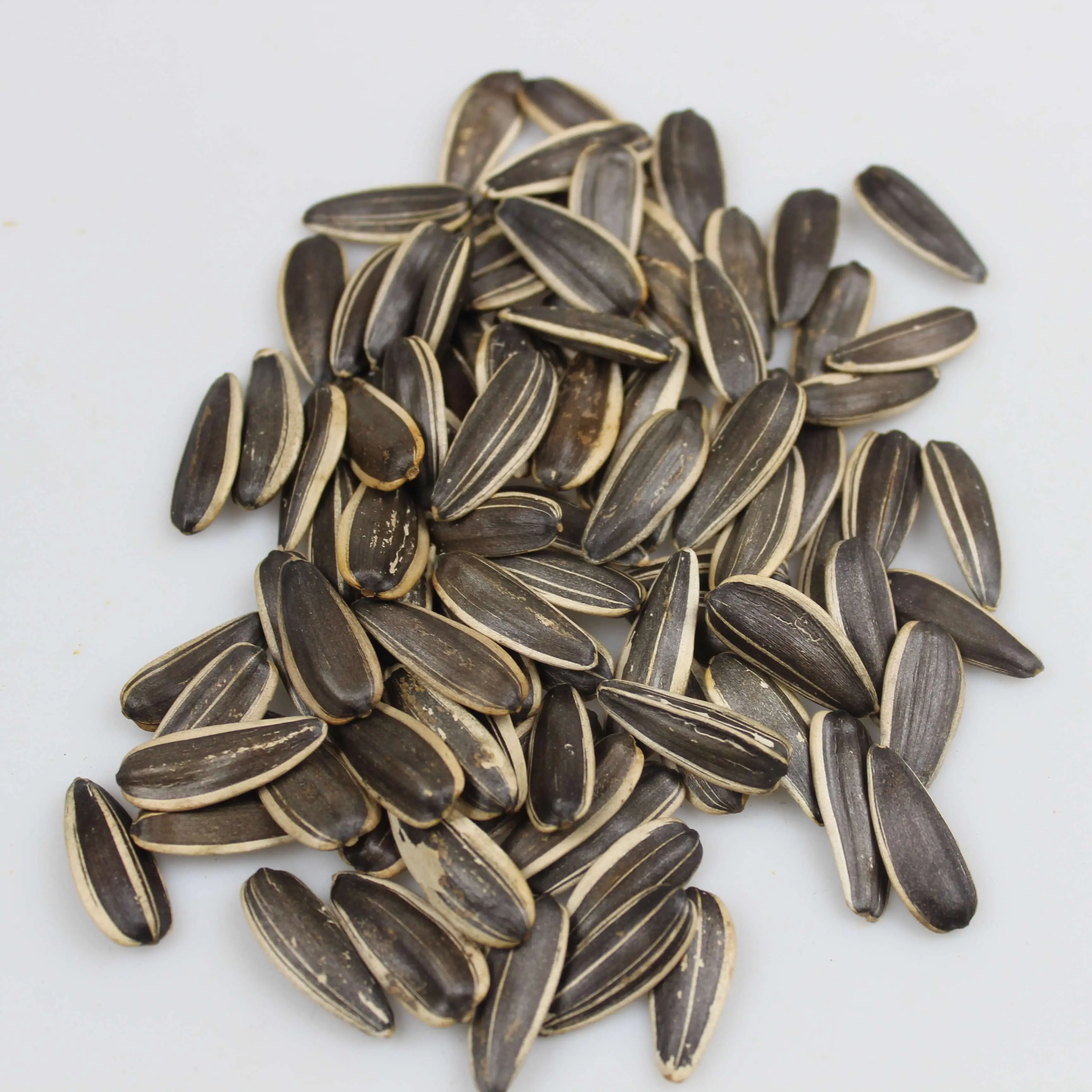 Organic White Sunflower Seeds Raw Dry Dried Style Best Snack Food at an Inexpensive Price Bulk Packed for Agriculture Use