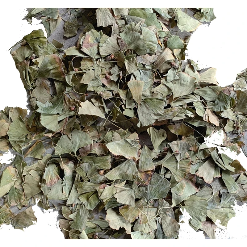 Heat-selling FOLIUM GINKGO  biloba leaf  promotes memory and improves brain function