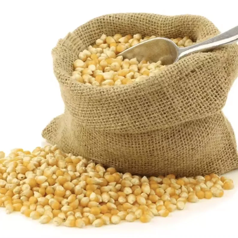 New Crop Yellow Corn Maize for human and animal feed grade consumption Yellow Corn For Poultry Feed