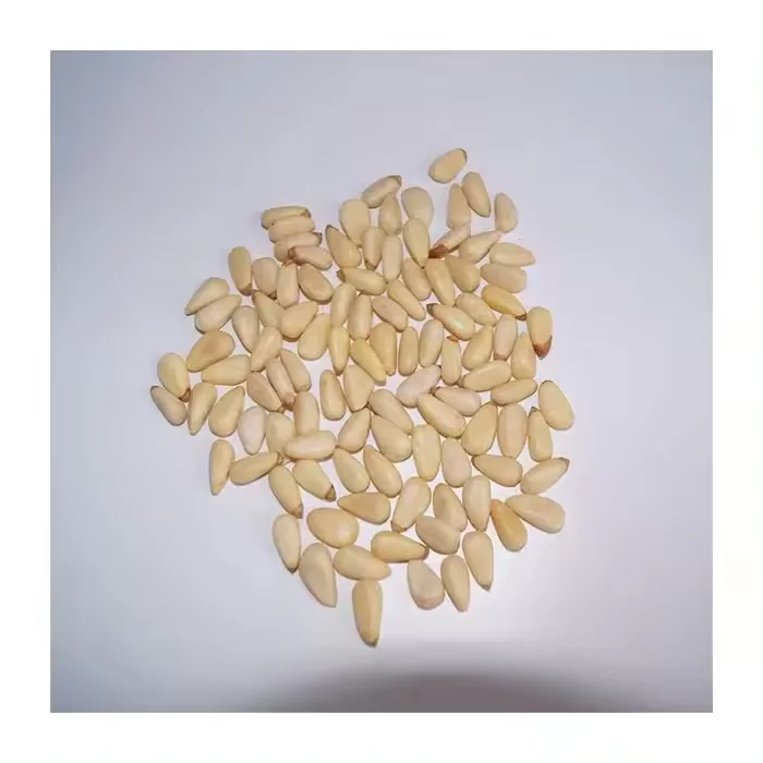 High Quality Pinenut, White Pine nuts