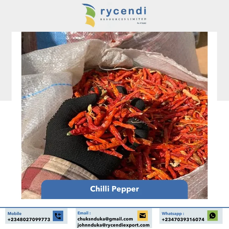 Best Quality Single Spices & Herbs Wholesale Dried Red Hot Spice Round Stemless Red Chilli Pepper from Nigeria