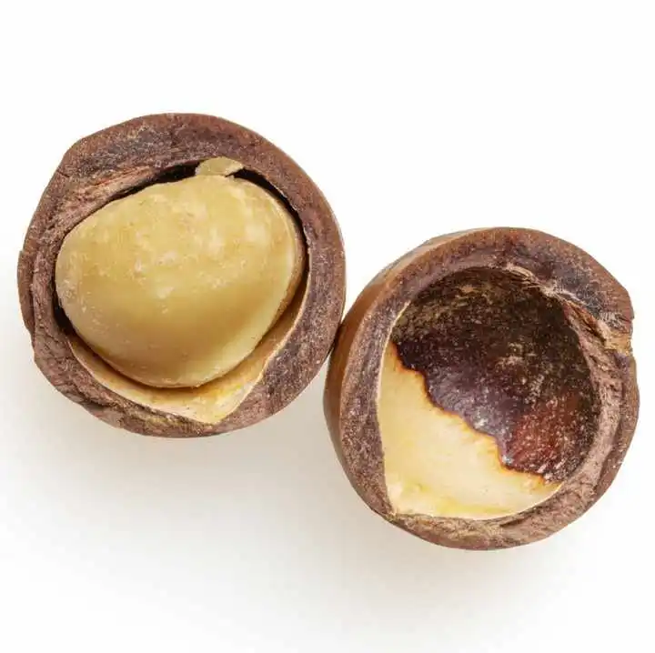 Natural Premium Quality Dried Roasted Macadamia nuts