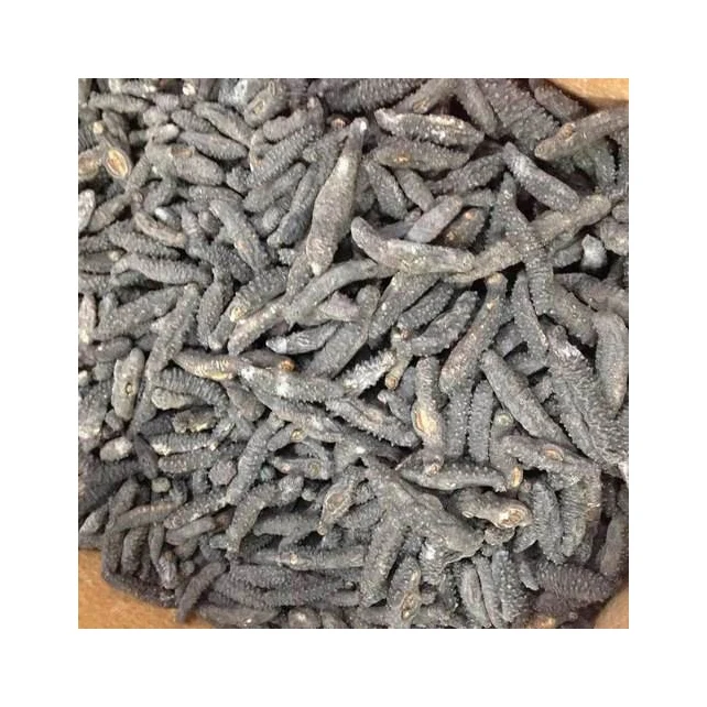 High Nutritional Value Dried SEA CUCUMBERS with Export Standard
