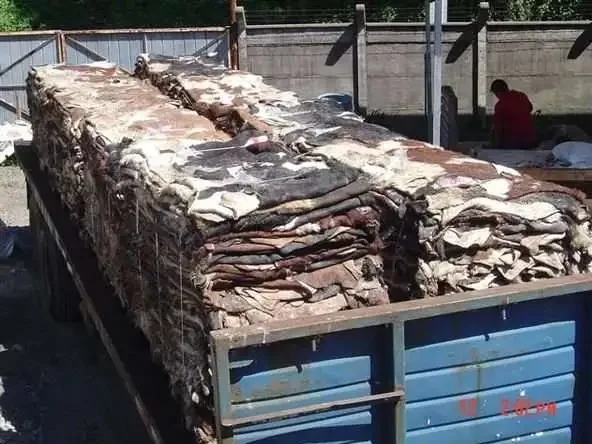 Wholesale  private label best  raw wet salted cattle hides industrial grade 50kg bags 25ton 15days cow sk