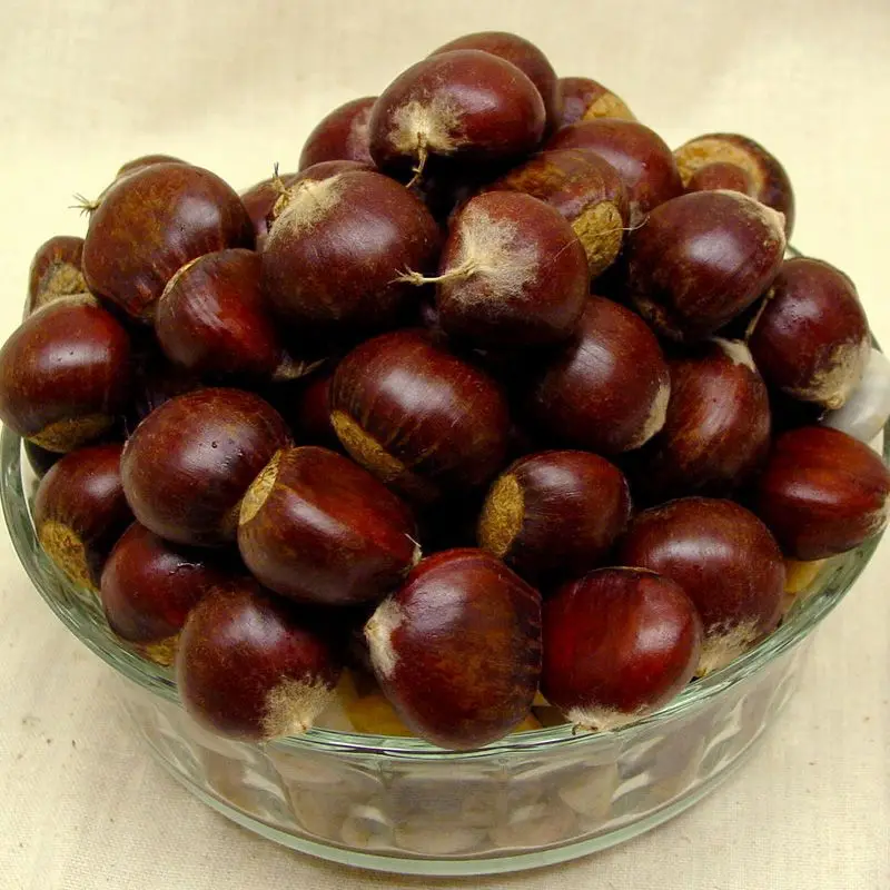 Organic Sweet Fresh Chestnuts