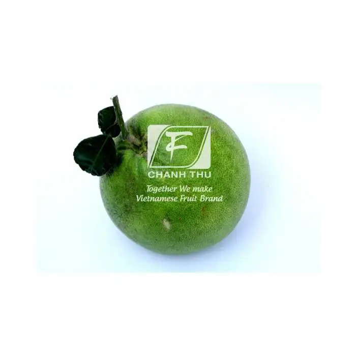 Red Honey Pomelo Red Honey Pomelo