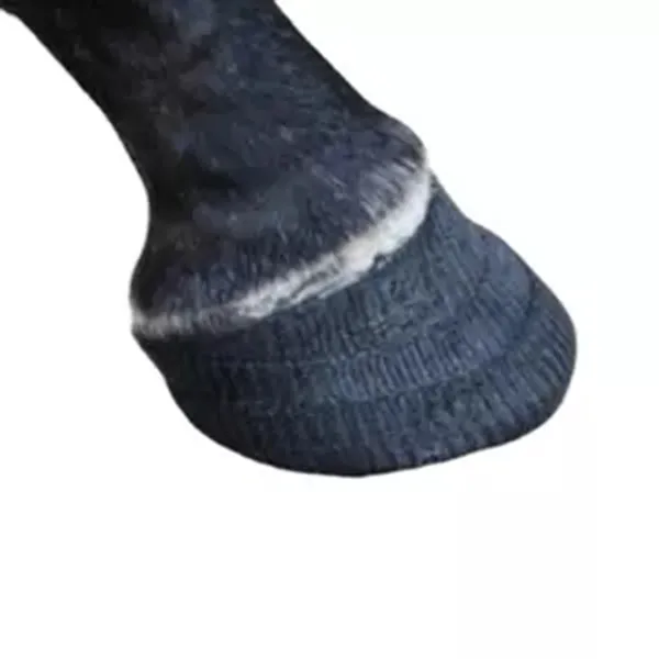 Заводская поставка от производителя кальмаров, литая копыта с сертификатами, защитная пленка