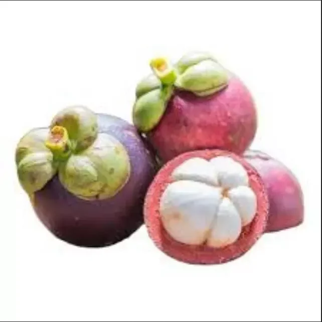 Ciyuan Good quality Mangosteen Peel Extract Freeze Dried   from germany