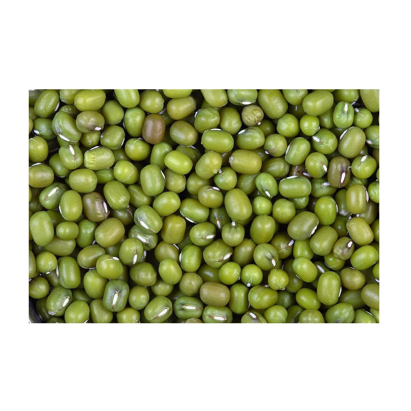 Wholesale Natural Organic High Quality Green Mung Beans Green Vigna Beans Green Gram Beans
