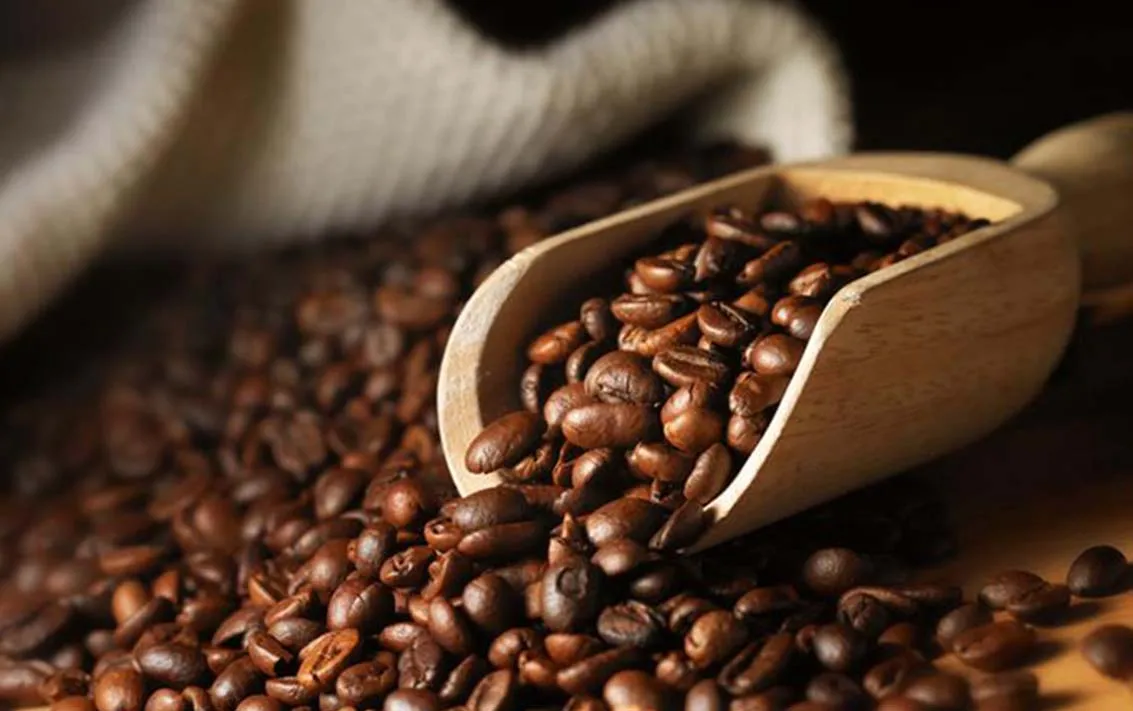 coffee bean arabica made in Viet Nam with high quality min order  Arabica Coffee from Vietnam