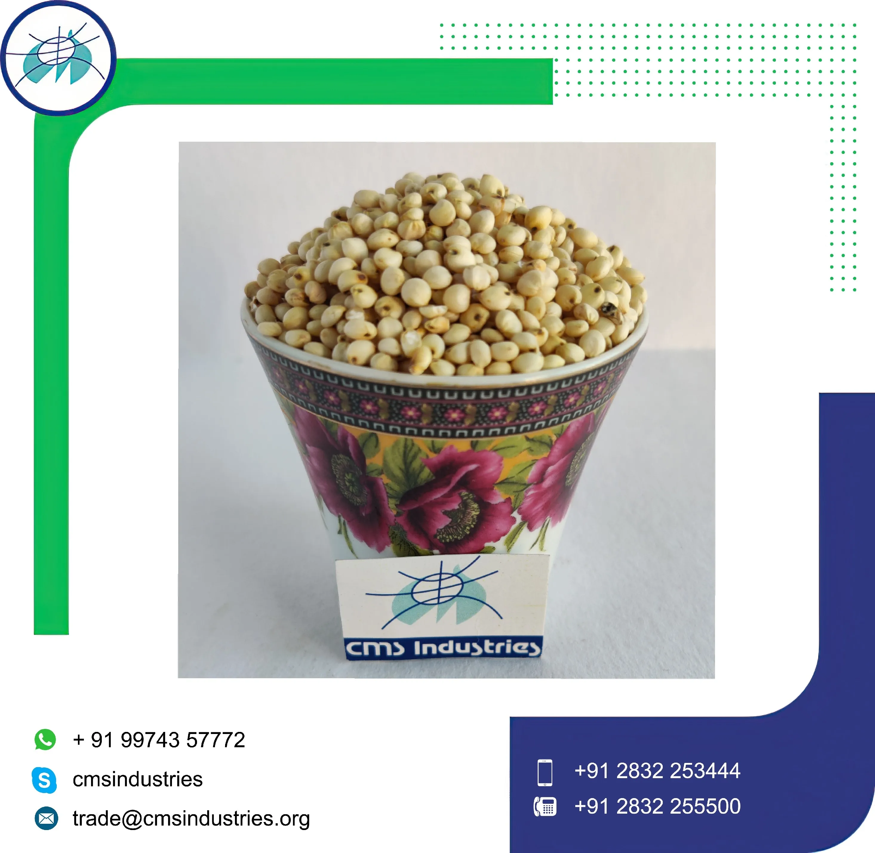 Indian Product Exclusive Quality Sorghum for Bird