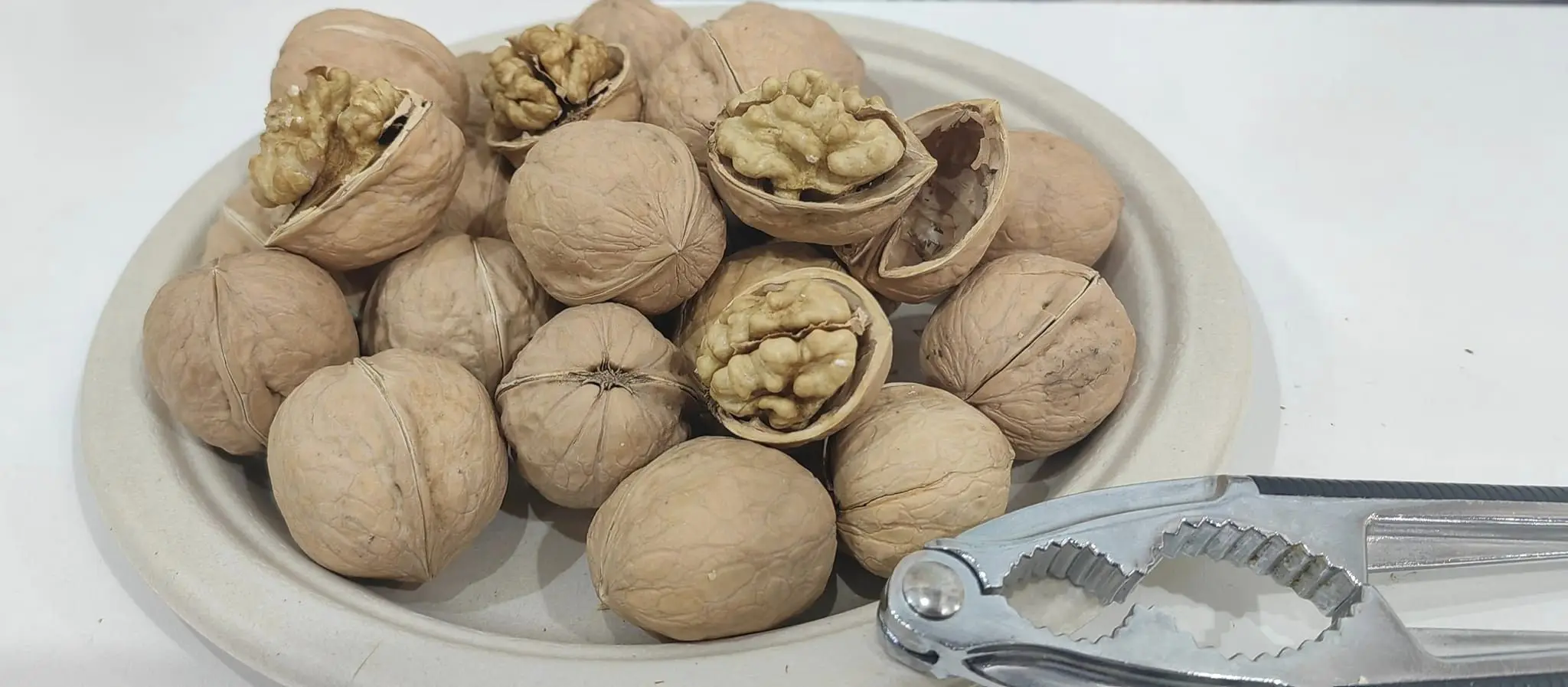 Walnut and Walnut Kernel