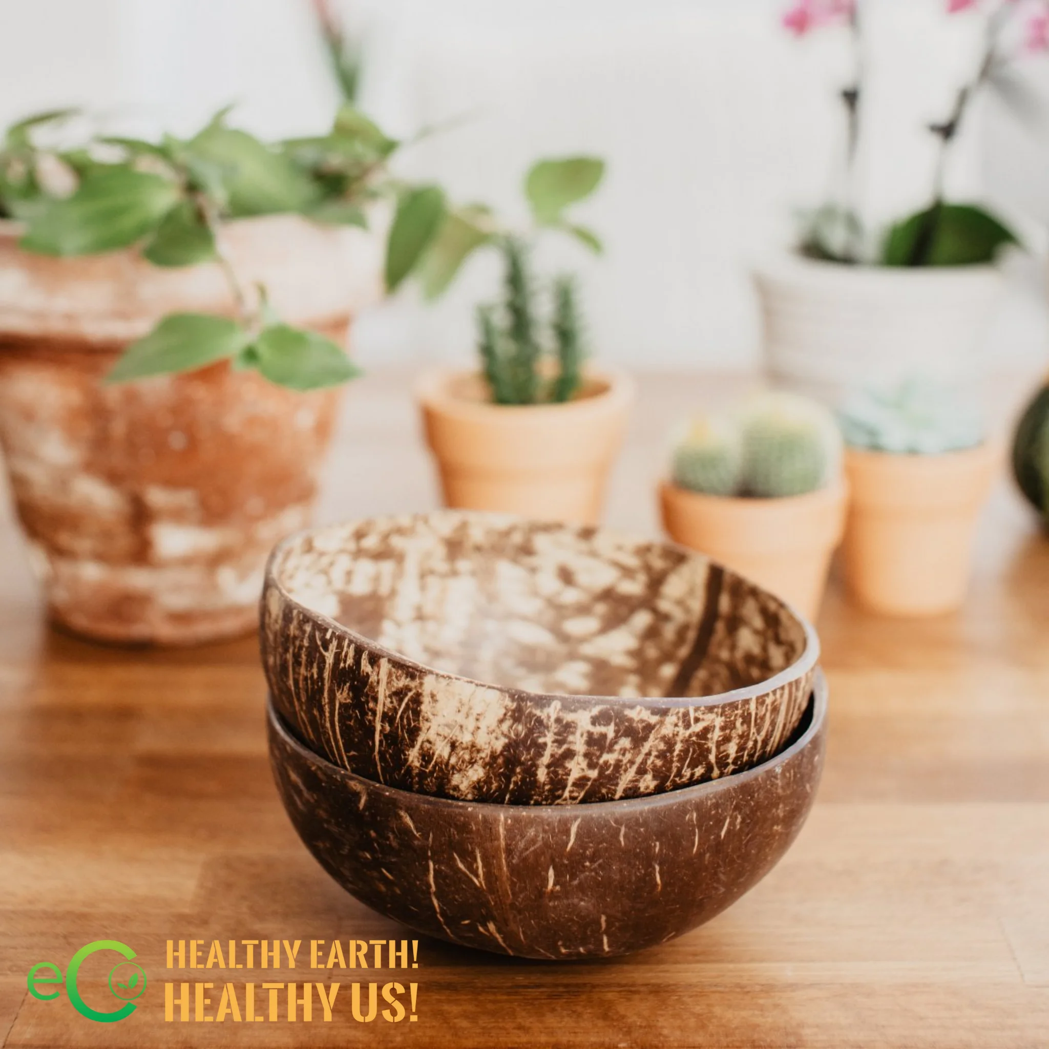 Wholesale Handmade Coconut Shell Bowl From Small to Jumbo High Quality Eco Friendly Bowls for Ice Cream and Fruit Salad