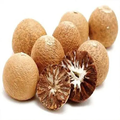 DRIED BETEL NUT FROM NATURAL BETEL NUT/ DRIED ARECA NUT WITH HIGH QUALITY FOR SALE