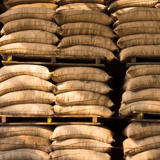 Brown Sugar in Bulk - The Rich and Flavorful Sugar for Your Coffee and Tea