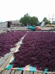 Натуральный сушеный морской мох Eucheuma Cottonii водоросли для продажи Akina по