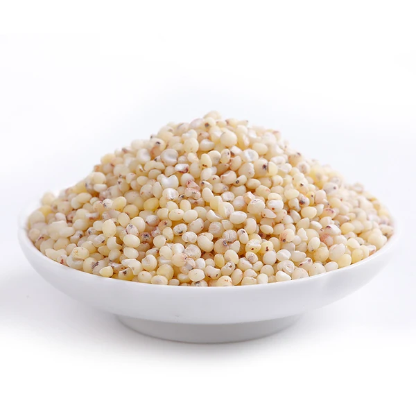 White Milo Sorghum Grains Sorghum Price Per Ton