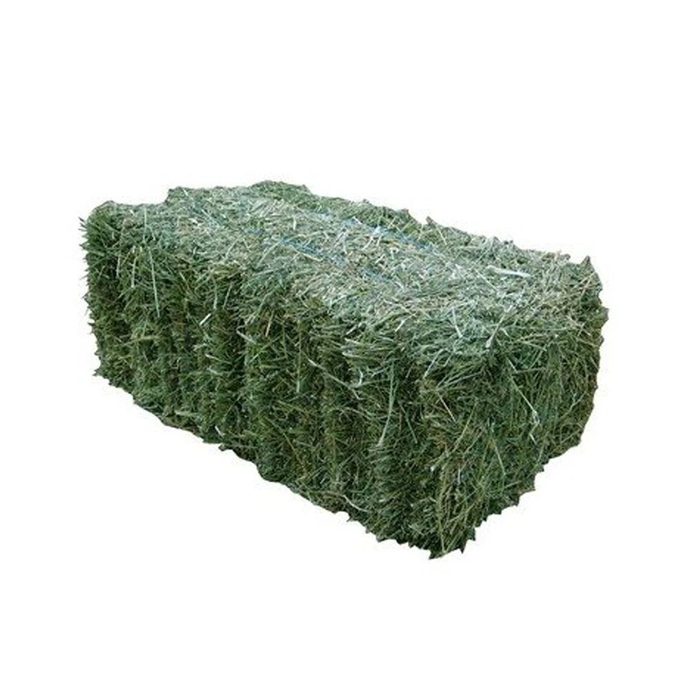 2022  Super Top Quality Alfafa Hay for Animal Feeding Stuff Alfalfa / Timothy / Alfalfa Hay for Sale