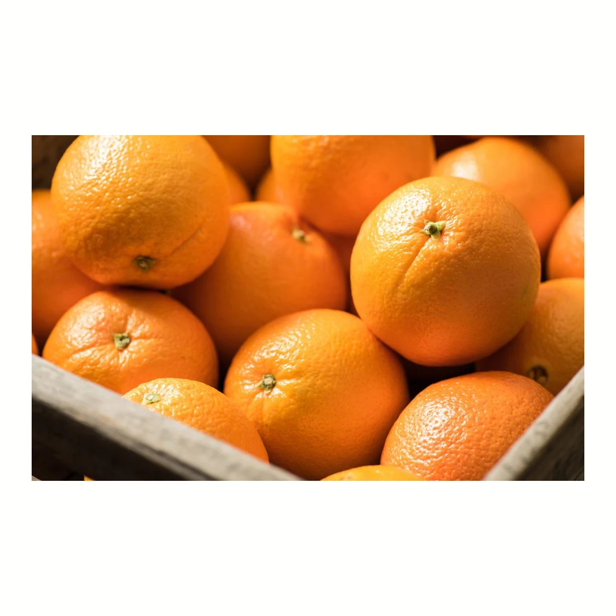 Oranges Fresh Produce Citrus Fresh Fruits bulk orange fresh citrus fruit