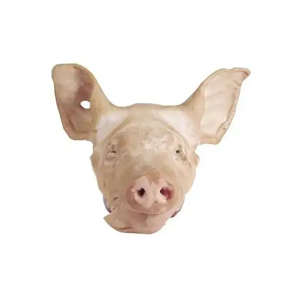 High Quality Frozen Pork Heads Whole or Half Pork Ears