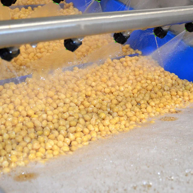 Top Organic Pulses Made in Spanish Tinned Chick Peas Ready to eat Canned Organic Cooked Chickpeas for Supermarket and Horeca