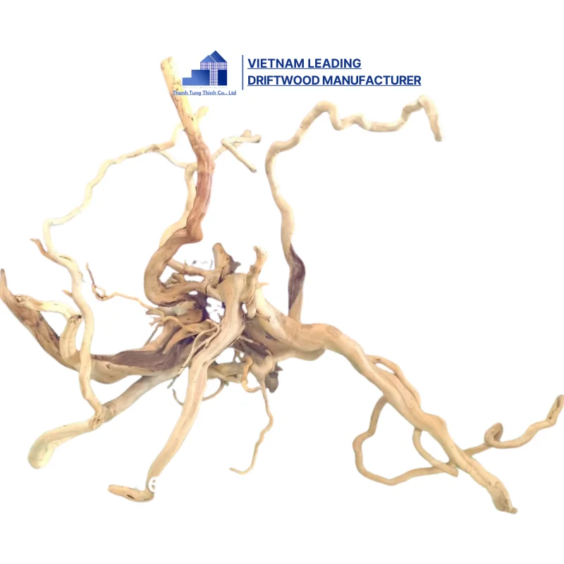Hot Selling 2024 Natural Decor Roots Driftwood for Aquarium and Accessories with best price WhatsApp: +84 963 949 178