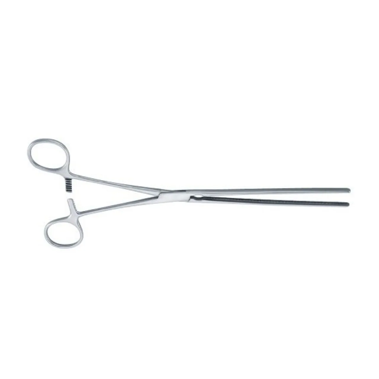 Kocher Intestinal Clamps Stomach Clamps Forceps 22cm Straight Jaw Stainless Steel Surgery Care Instruments Medical Tools