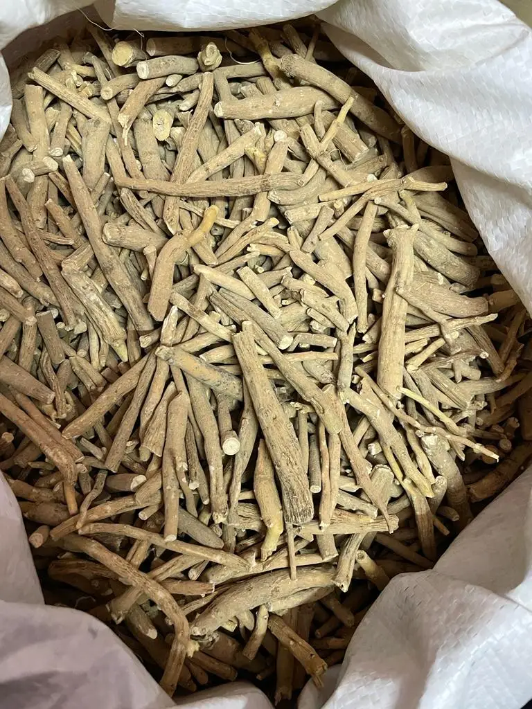 Private Label Health Supplement Best quality Ashwagandha Roots (Withania Somnifera) First Grade for Bulk Purchase