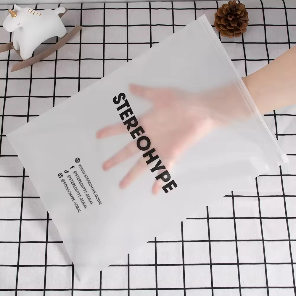 Custom CPE Matte Frosted Ziplock Resealable Plastic Packaging Poly Zip Lock Zipper Bag with Logo for Clothing