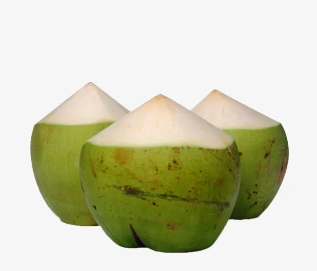 Sweet Young Coconuts Fresh  water / Young coconut wholesale