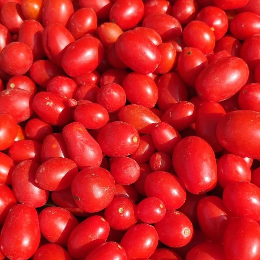 Gourmet Product Healthy Food Sweet Bright Red 100%  Datterino Tomato Puree 420g For Seasoning Pasta and Pizza