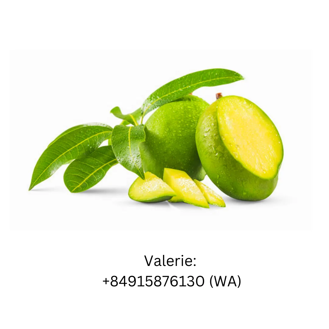 Factory price 2023 Fresh Fruit Green Mango Or Frozen Mango With Natural Sweet For Export Market made in Vietnam