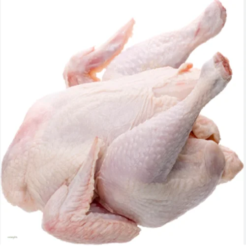 High grade HALAL certified vacuum packing products from manufacturer netherlandS whole chicken body carcass for food