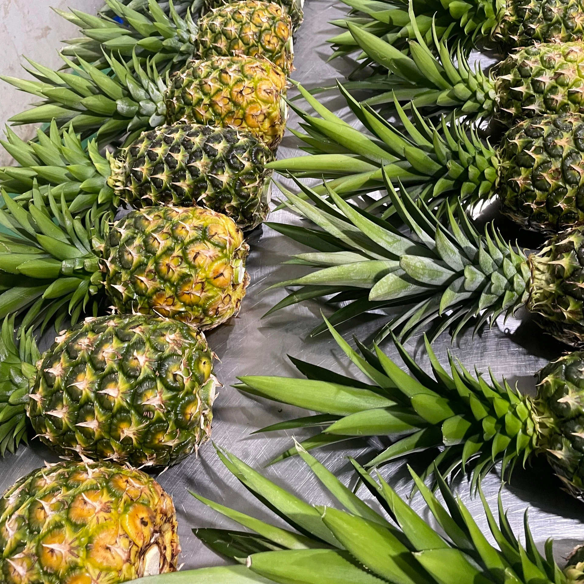 Оптовая продажа свежих мягких сладких ананасов MD2 с сроком годности 90 дней с запада Вьетнама