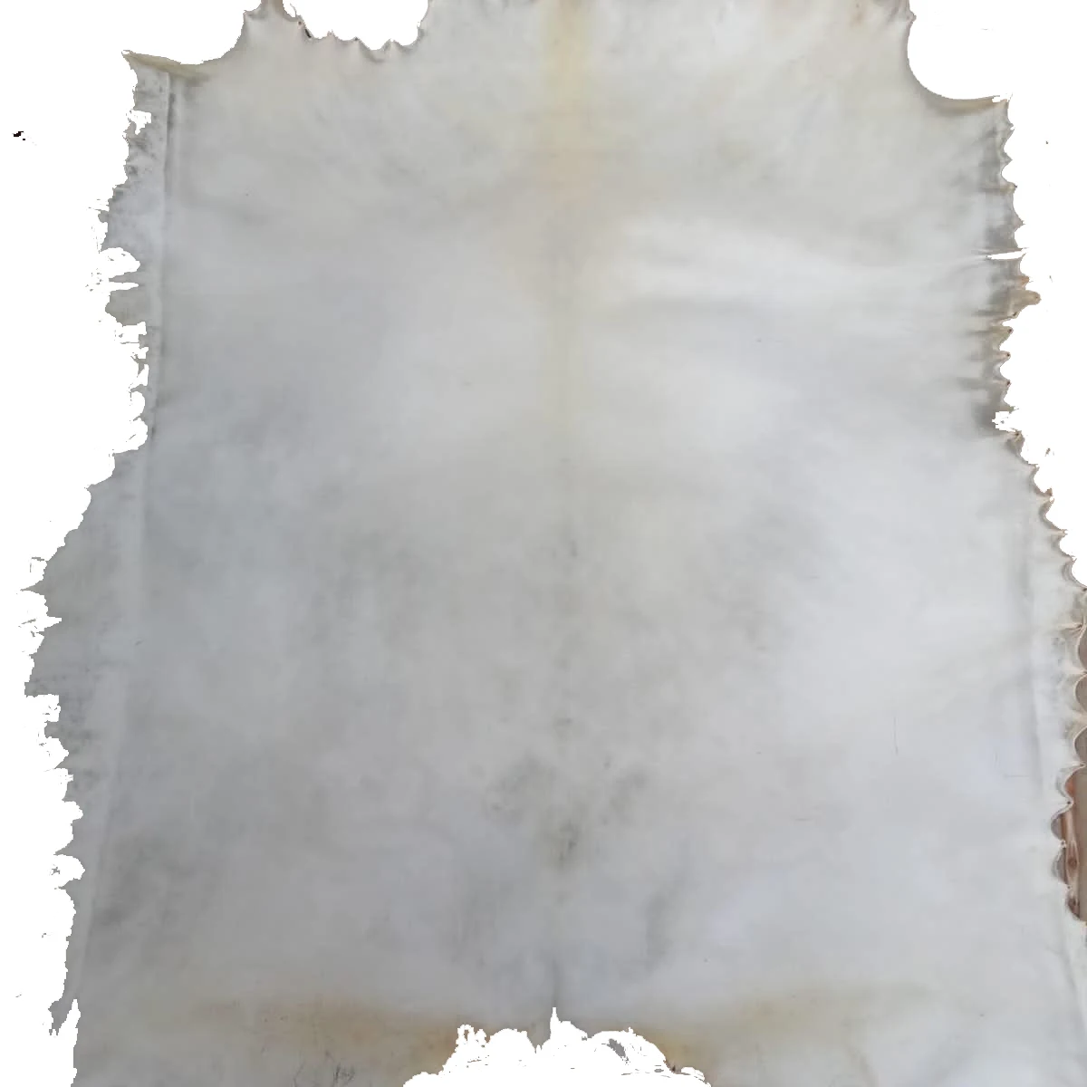 Vellum Parchment goat skin Bleached white furniture