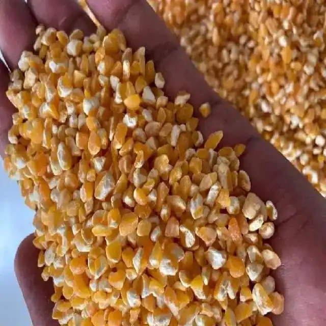 Yellow Corn for human consumption non gmo yellow corn/ yellow corn for animal feed popcorn