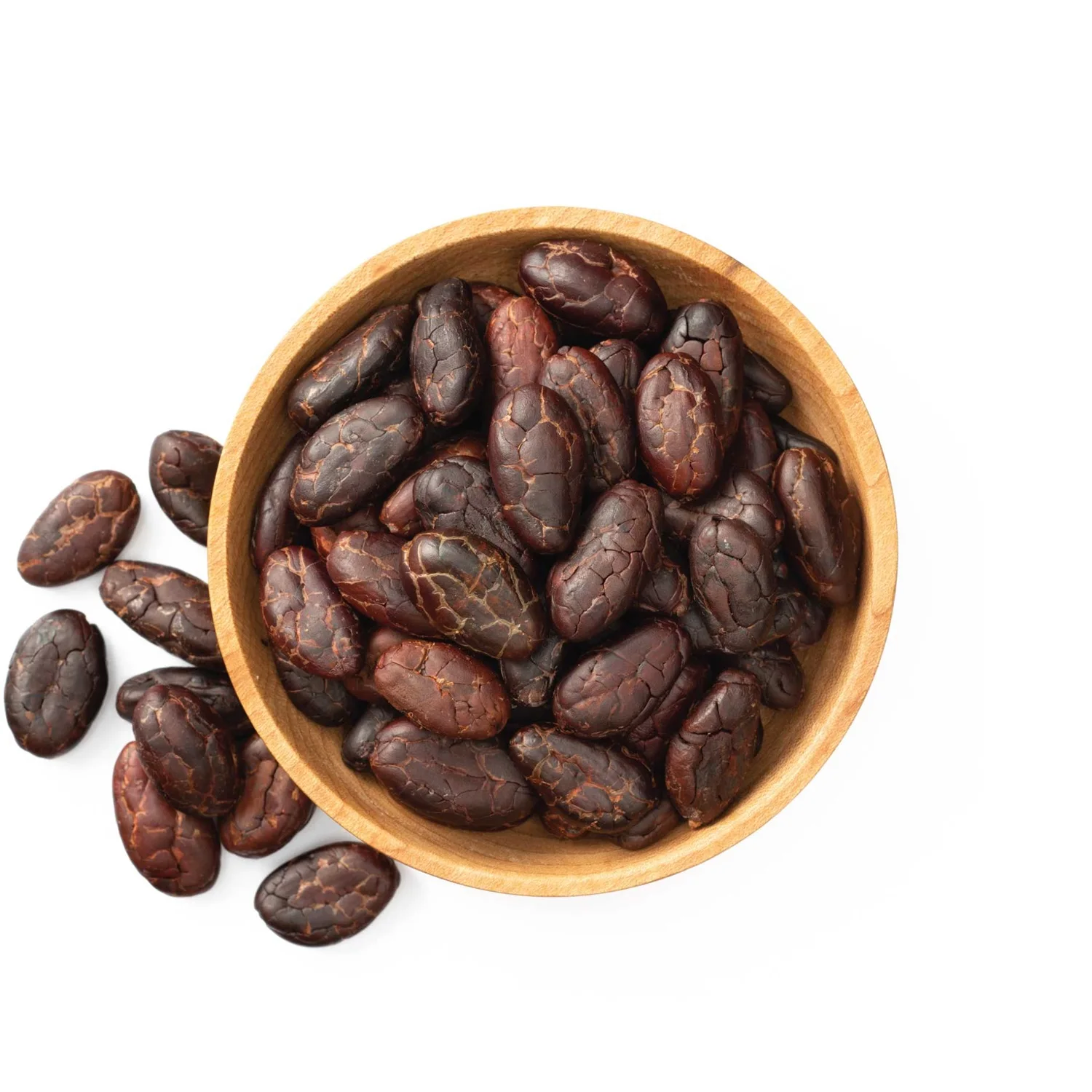 Bulk Dried Cocoa Seeds / Quality Dried Raw Coco Beans Seed