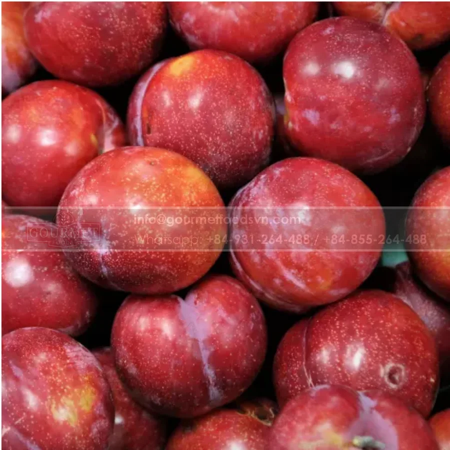 New Product 2022 Viet Nam Fresh Fruit Supplier High Quality Good Price Wholesales Fresh Plums Fruits