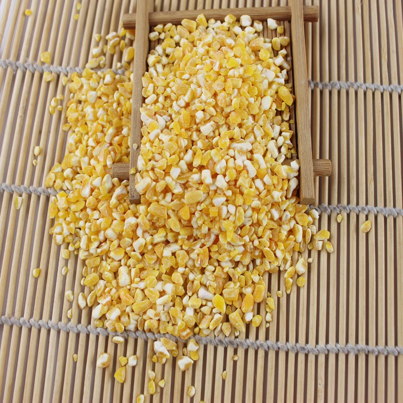 Best Quality Maize Grain Yellow Corn Feed Corn Maize at Low Cost Wholesale