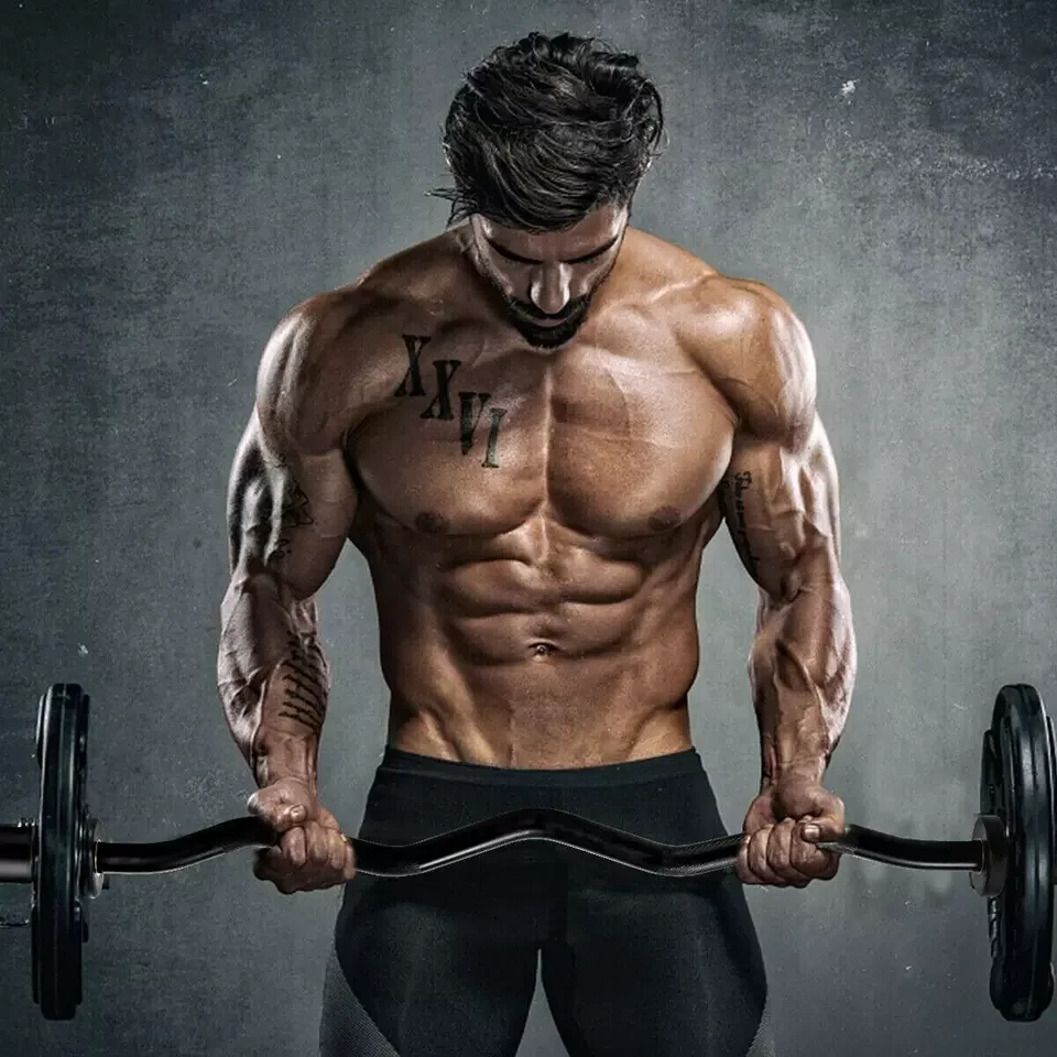 Cheap Good Quality Barbell Bar Dumbbells Bar Set Case Winter Shiny Steel Universal Wooden Style Surface Packing Weight Material