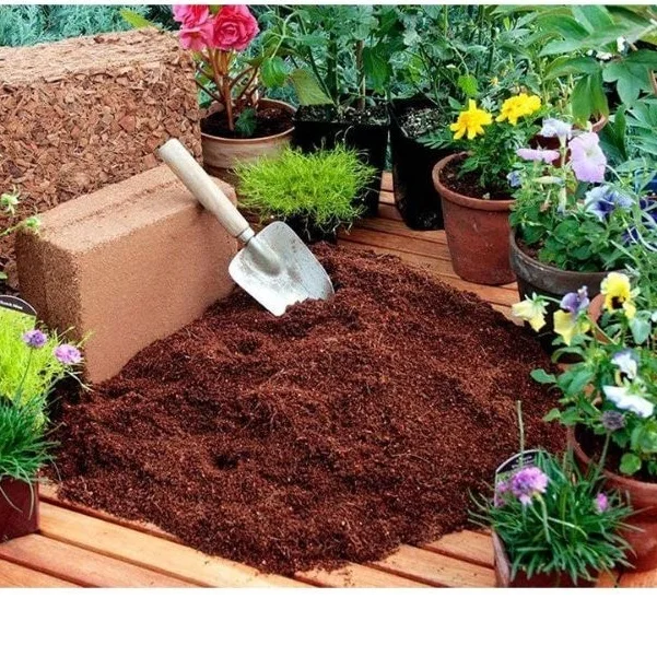 coir pellets, wholesale price from factory in Vietnam