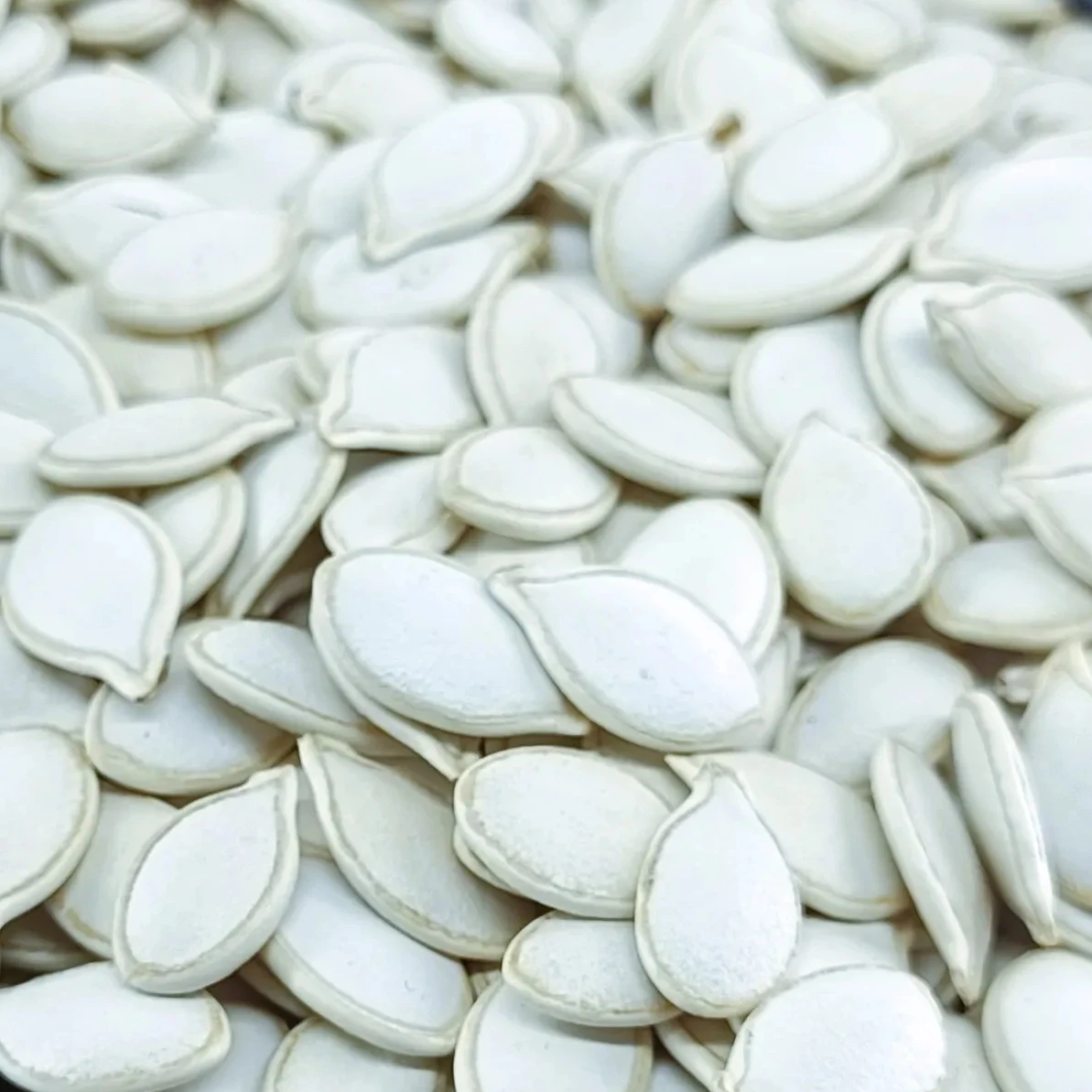 Top Grade Raw Dry White Pumpkin Seed Origin Ethiopian, High Protein, Cold-Pressed, Pure & Natural, Best Price 2024