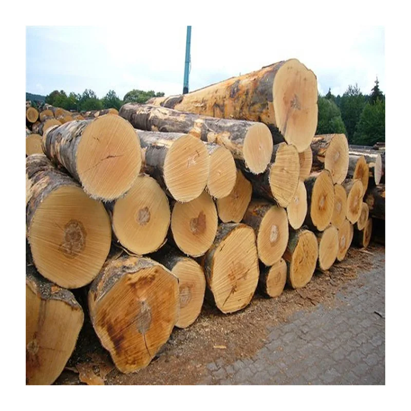 Лучшая цена хорошее качество сосновые деревянные бревна для продажи
