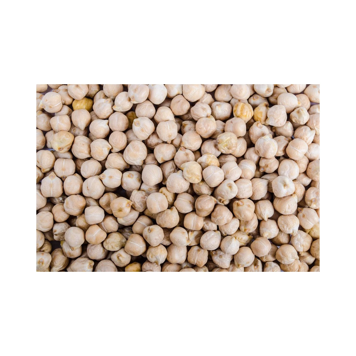 Kabuli Chickpeas 7mm 8mm 9mm