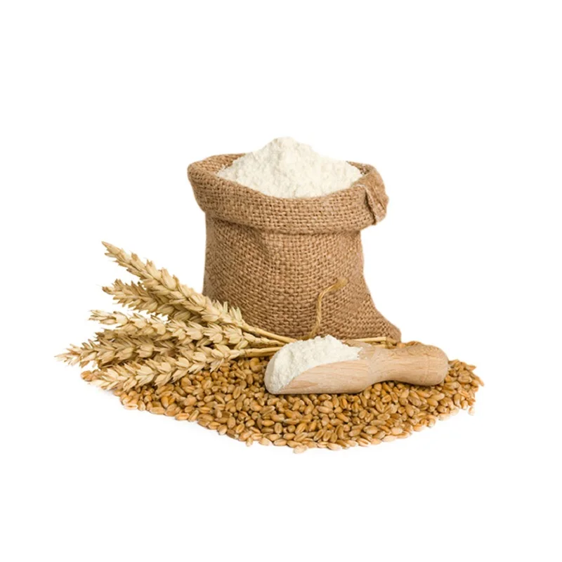 High Quality Wheat Grain for Supply Wholesale Price