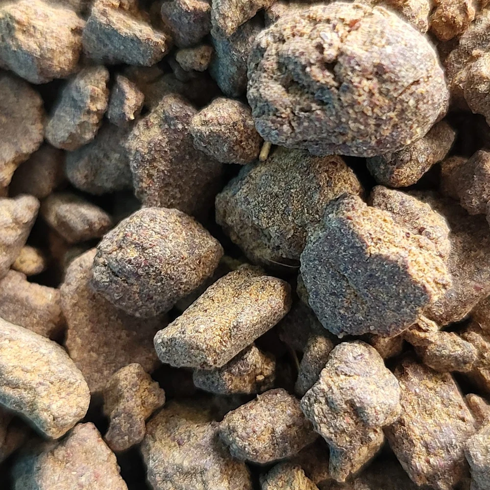 High-Protein Rapeseed Meal Nutrient-Rich Feed for Healthy Digestion and Absorption in Fish Dogs Pigs Other Animals