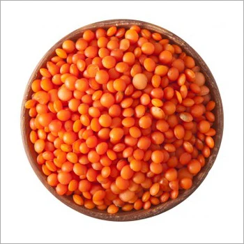 High quality new crop best price red lentils
