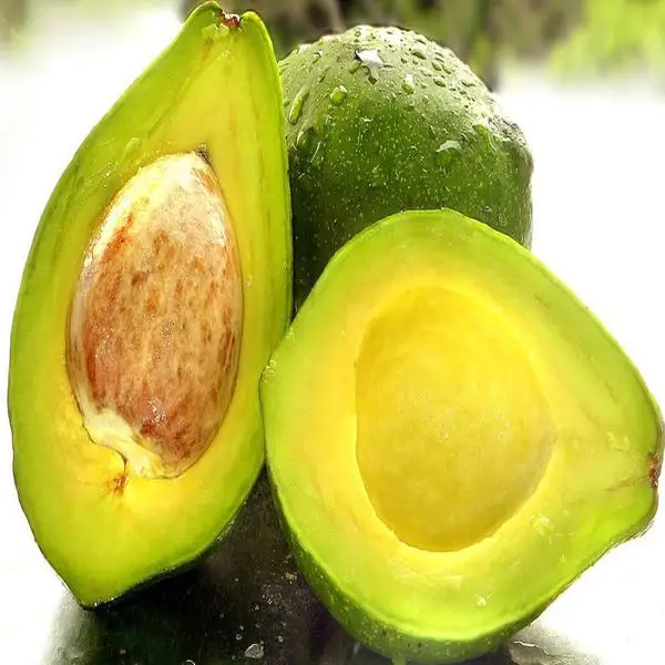 Buy Best Quality Natural Pure Avocado Oil From Indian Manufacturers