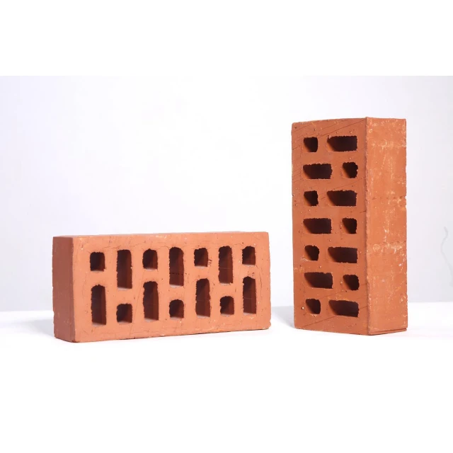 Производители терракотовых глиняных кирпичей в Индии глиняные полые кирпичи экструдированные